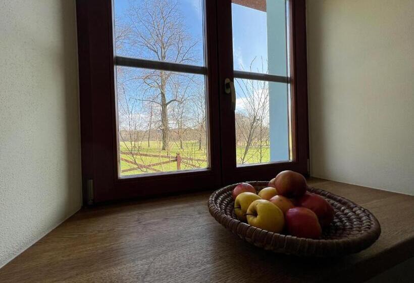 דירת חדר, Penzion Stanský Mlýn