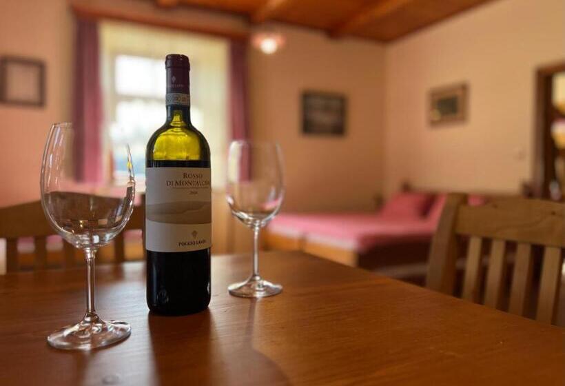 דירת חדר, Penzion Stanský Mlýn