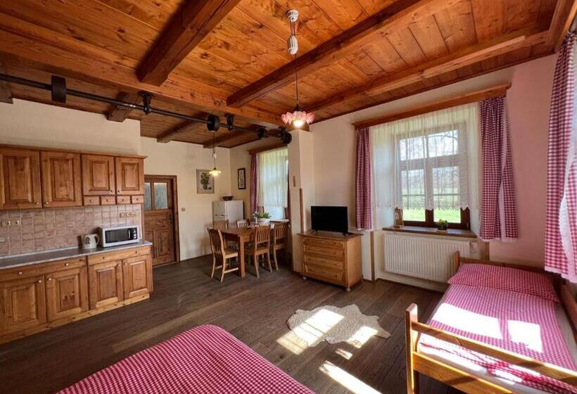 דירת חדר, Penzion Stanský Mlýn