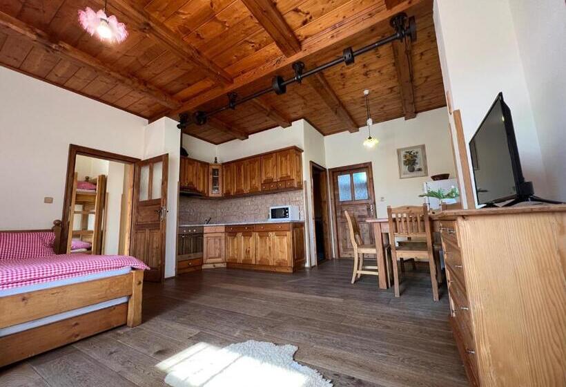 דירת חדר, Penzion Stanský Mlýn