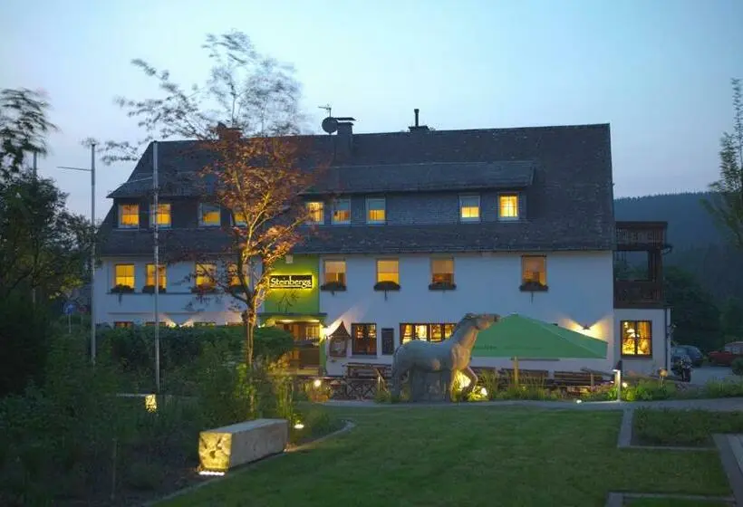 スタンダードルーム, Steinbergs Wildewiese Natur