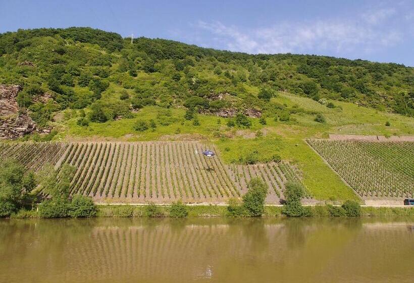 غرفة قياسية, Weingut Gästehaus Karl Otto Nalbach