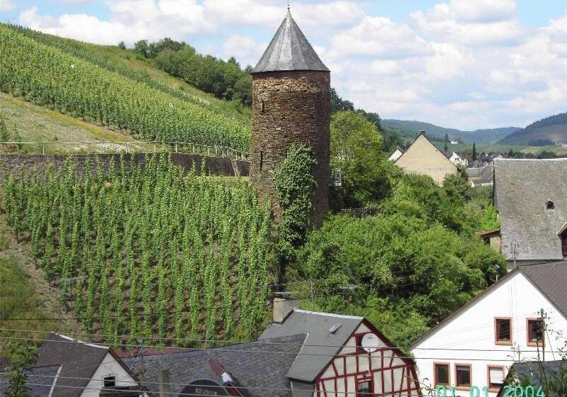 غرفة قياسية, Weingut Gästehaus Karl Otto Nalbach