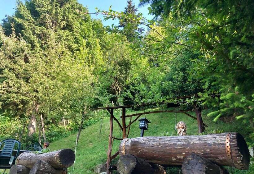 غرفة قياسية, Pensiunea Domnescu