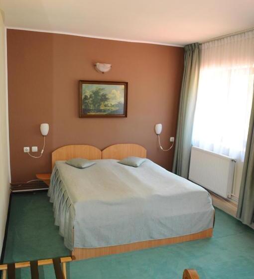 غرفة قياسية, Pensiunea Domnescu