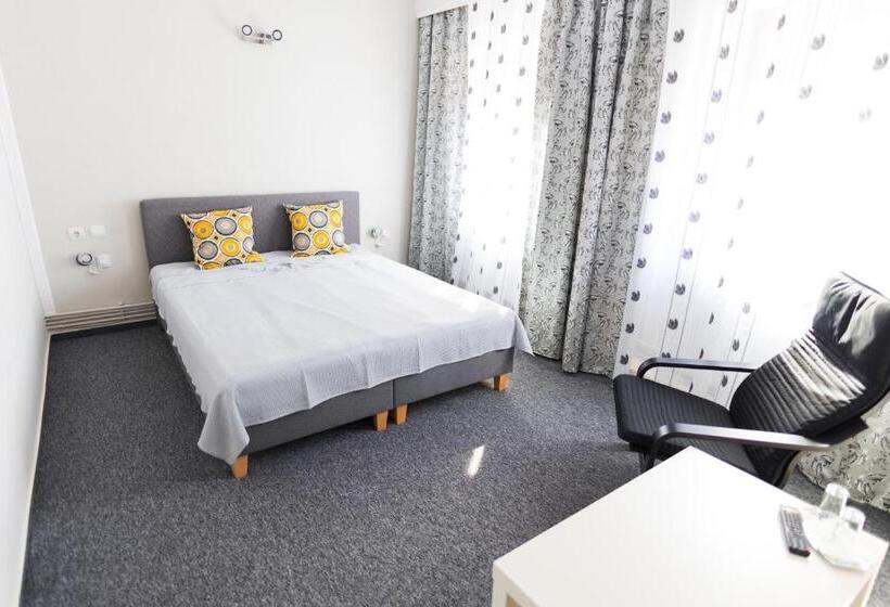 غرفة قياسية, Pensiunea Domnescu