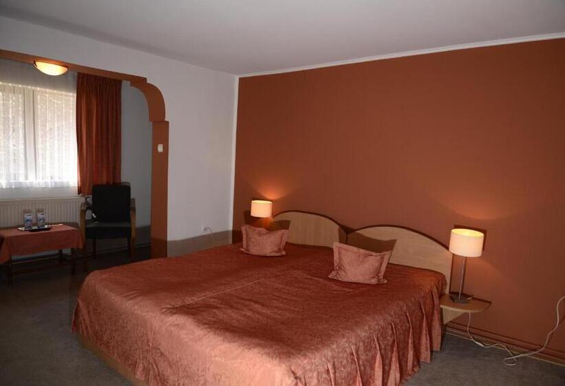 غرفة قياسية, Pensiunea Domnescu