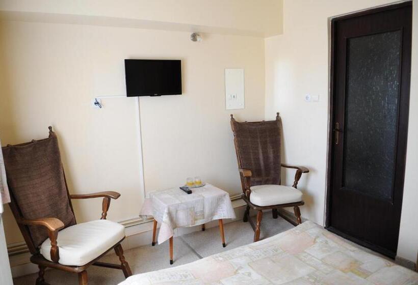 غرفة قياسية فردية, Pensiunea Domnescu