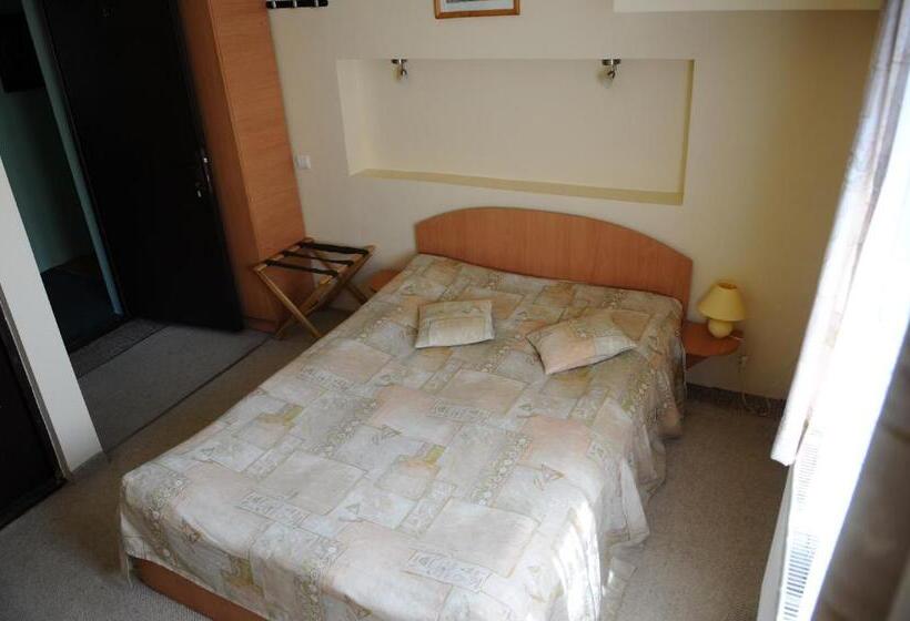 غرفة قياسية فردية, Pensiunea Domnescu