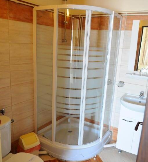 غرفة قياسية فردية, Pensiunea Domnescu