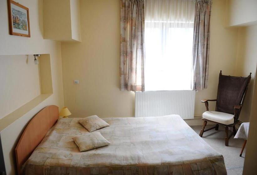 غرفة قياسية فردية, Pensiunea Domnescu