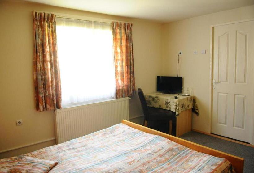 غرفة قياسية, Pensiunea Domnescu