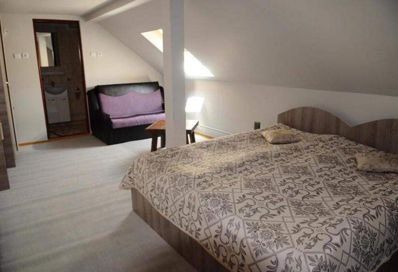 غرفة قياسية, Pensiunea Domnescu