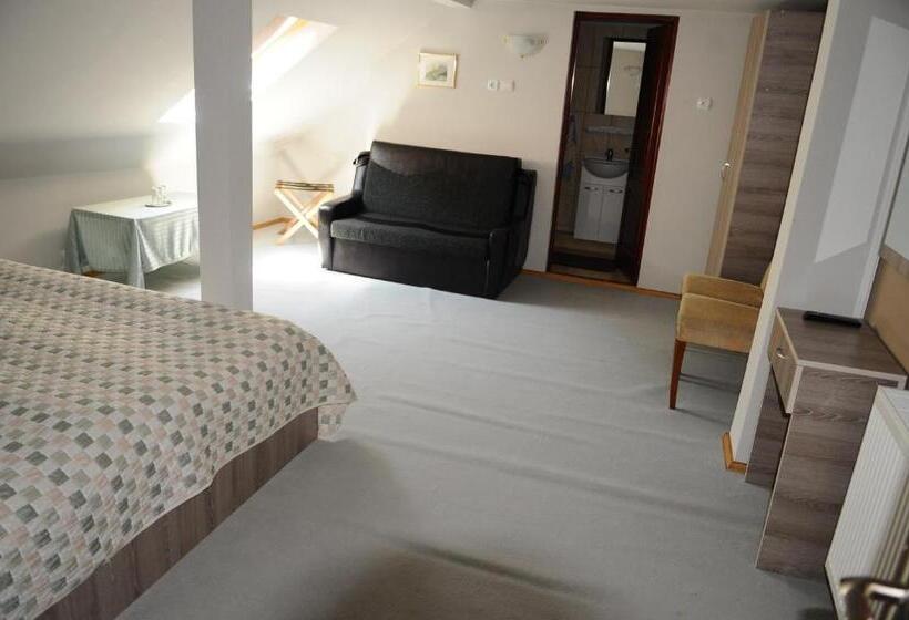 غرفة قياسية, Pensiunea Domnescu