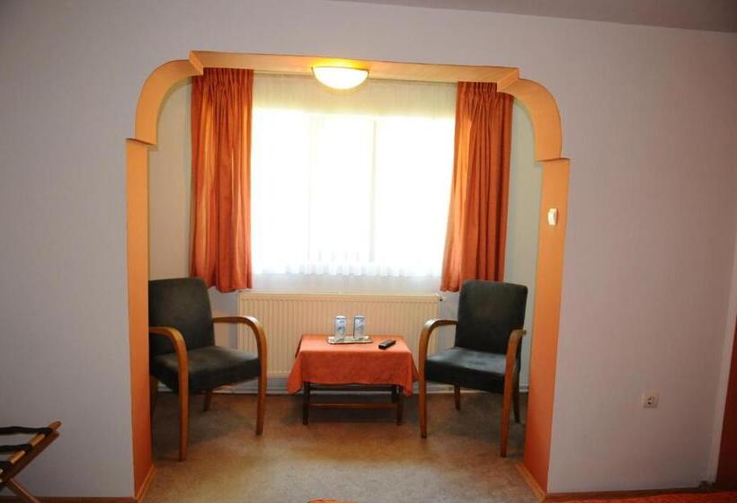 غرفة قياسية, Pensiunea Domnescu