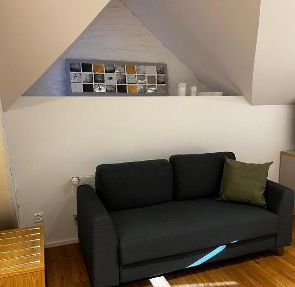 غرفة ديلوكس, Smartroom Hotel Rössli Hunzenschwil