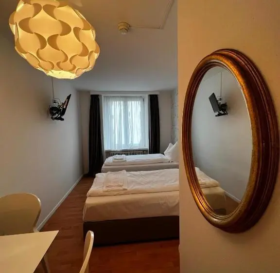 エコノミールーム, Smartroom Hotel Rössli Hunzenschwil