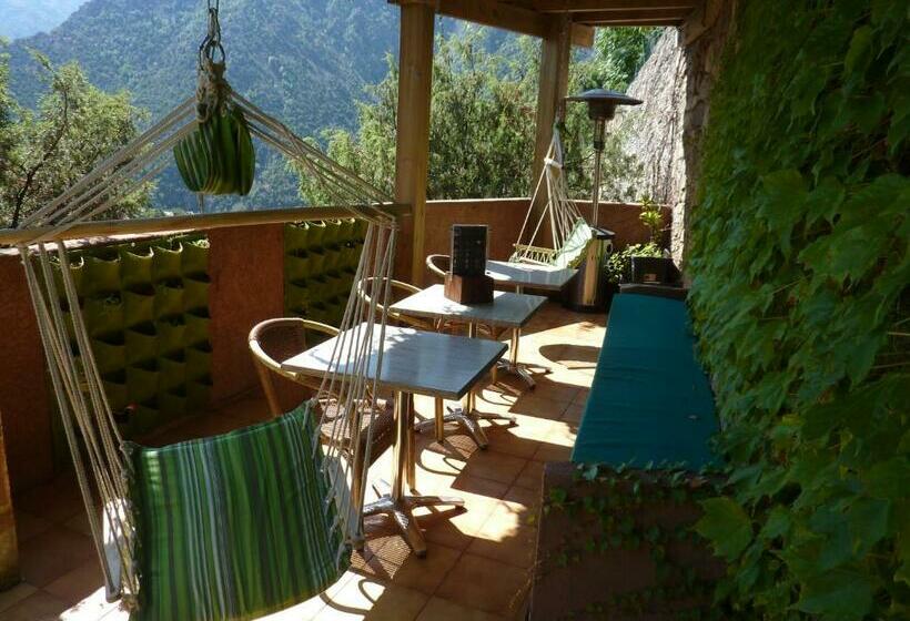 غرفة قياسية رباعية, Acropole Asco