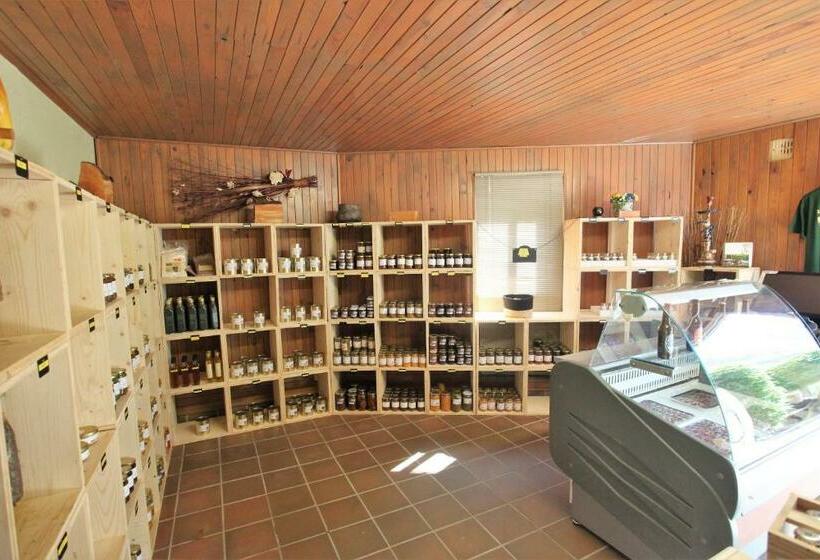 غرفة قياسية ثلاثية, Acropole Asco