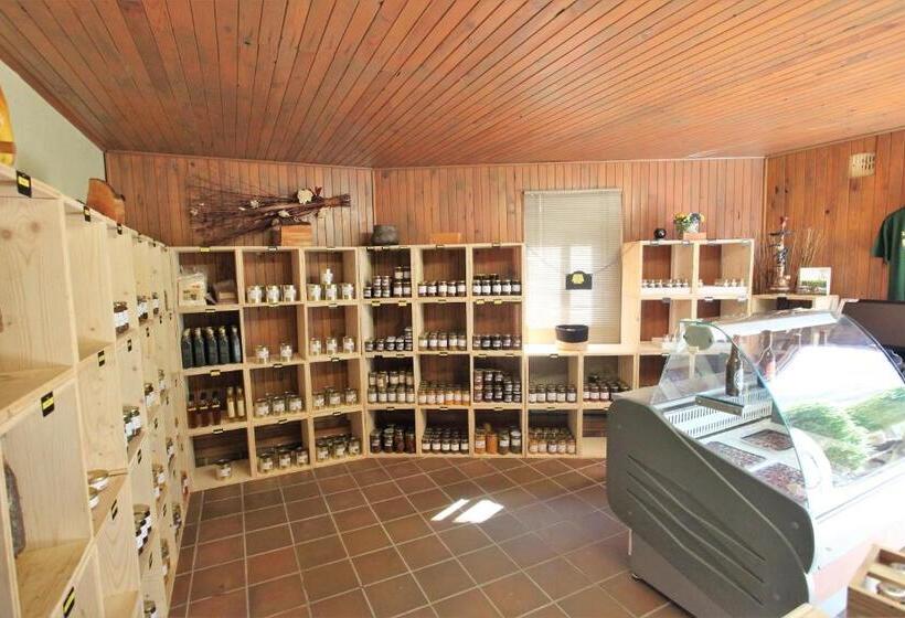 غرفة ديلوكس رباعية, Acropole Asco