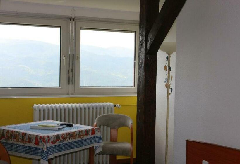 חדר סטנדרט יחיד, Hôtel Restaurant Roess