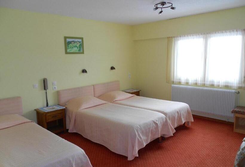 חדר סטנדרט, Hôtel Restaurant Roess