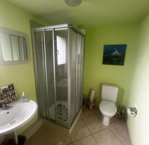 غرفة قياسية مع حمام خارجي, Bed&breakfast In Flüh