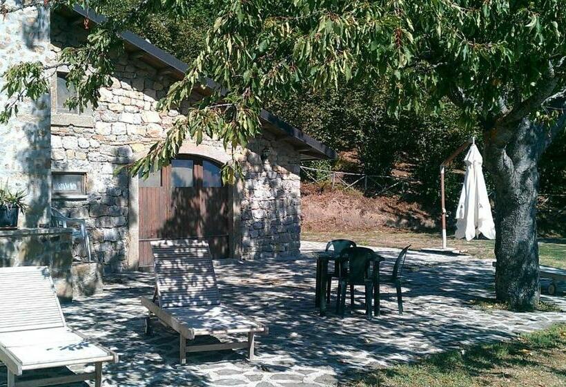 חדר סטודיו סטנדרד, Agriturismo Il Vignale