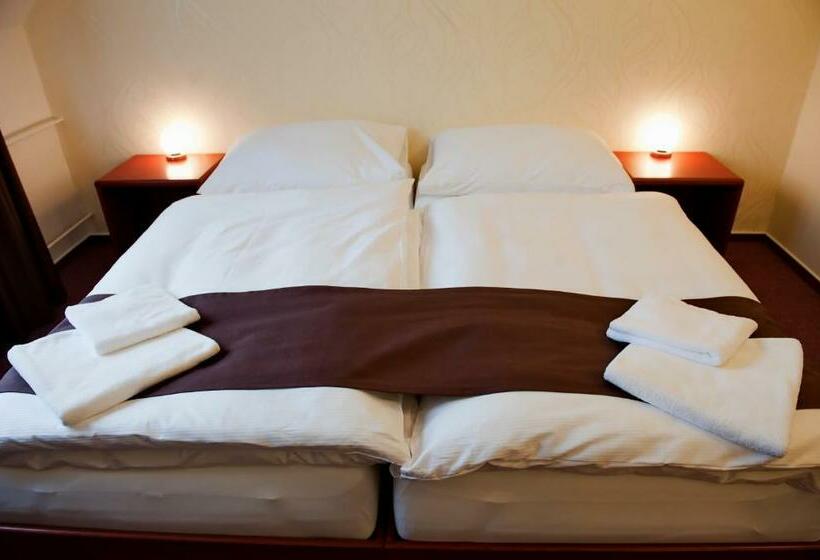 Quarto Estandar, Vír