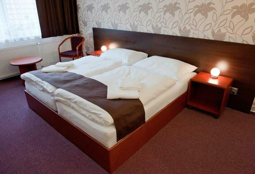 Quarto Estandar, Vír