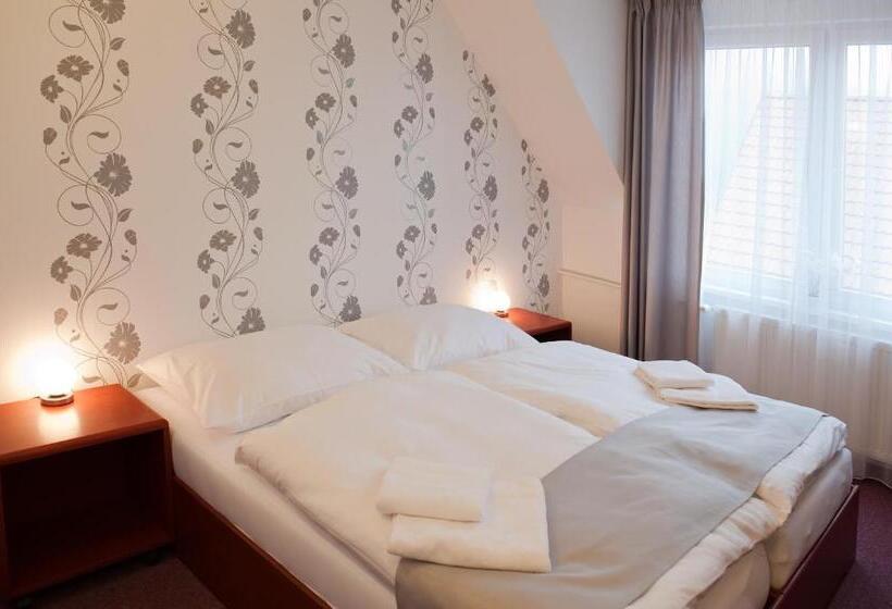 Quarto Estandar, Vír