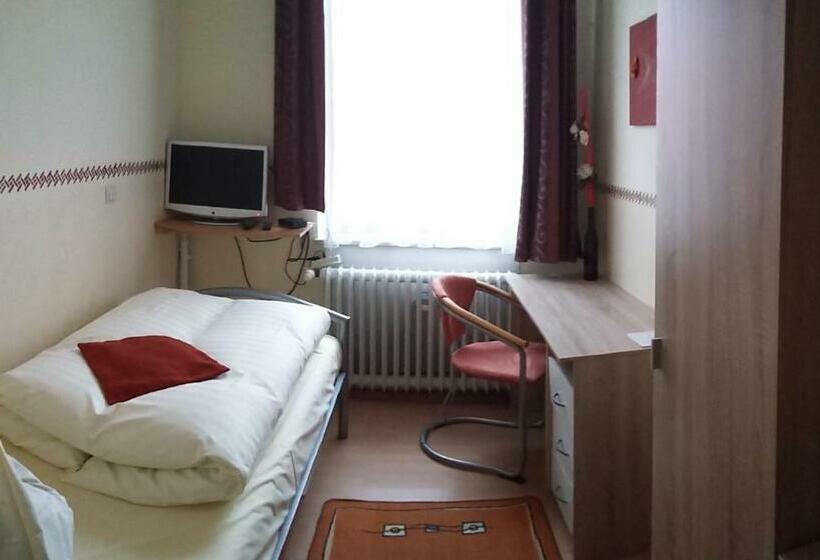 اتاق استاندارد یک نفره, Traditionsgasthof Zum Luedertal