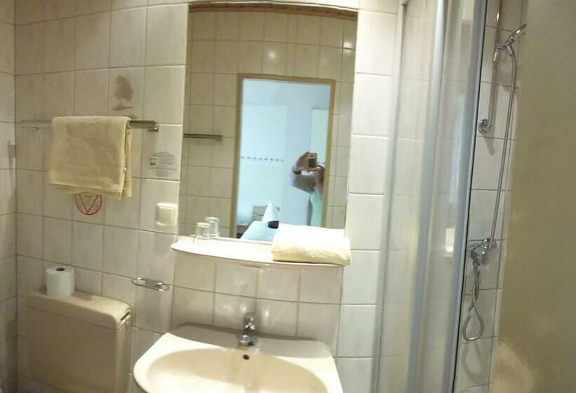 シングルデラックスルーム, Traditionsgasthof Zum Luedertal