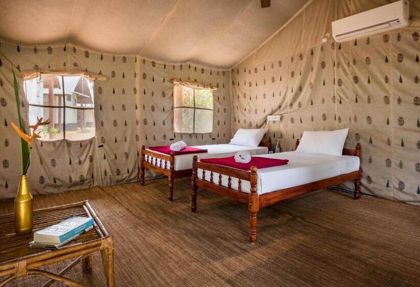 Standard Tent, Amritara Riverside Luxury Tents