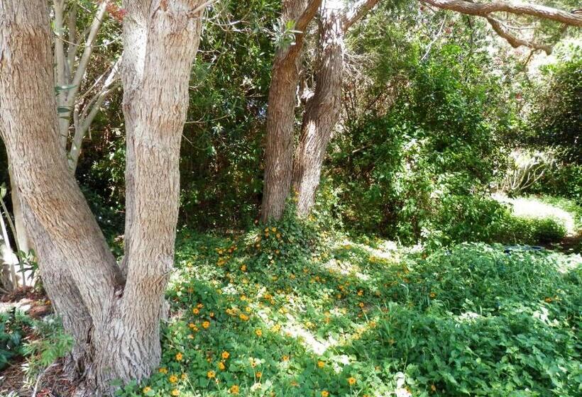 סוויטה דלוקס, The Hideaway Luxury B&b Retreat