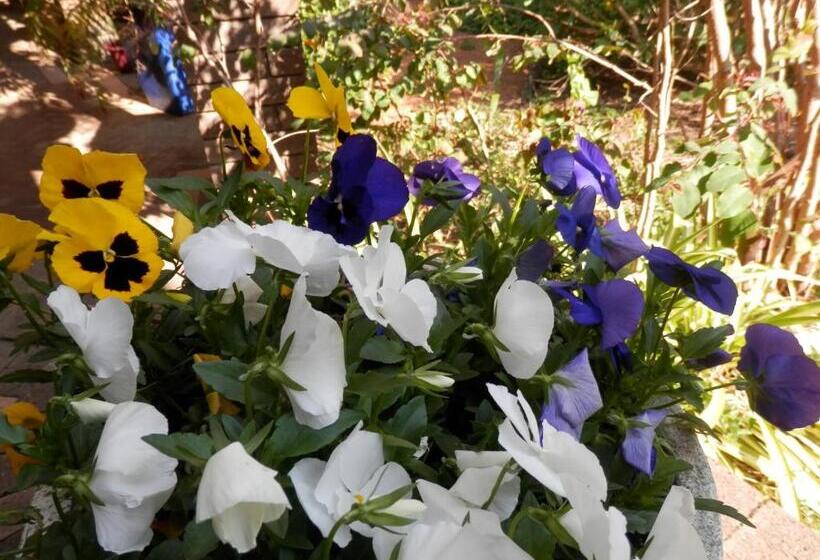 סוויטה דלוקס, The Hideaway Luxury B&b Retreat