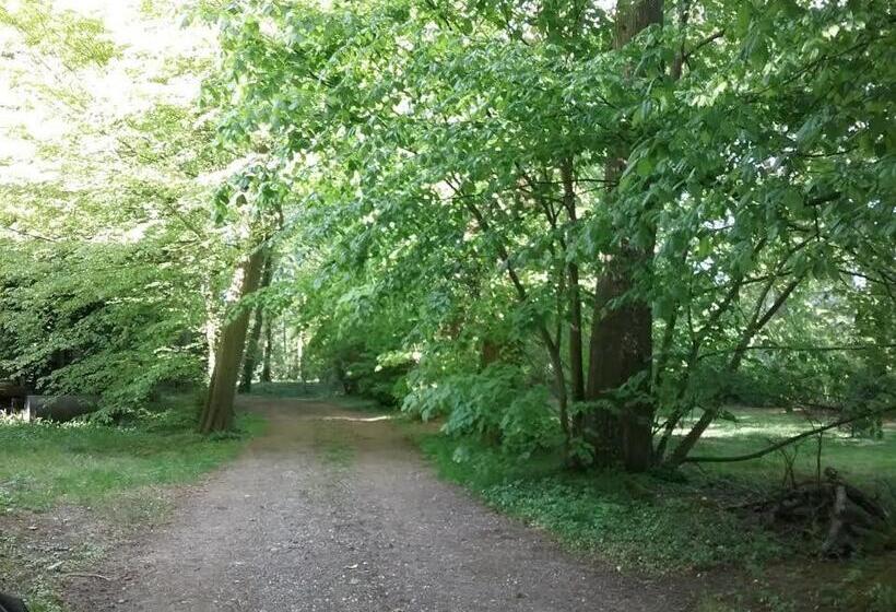 Номер Стандарт, Château Des Marronniers