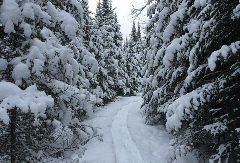 غرفة قياسية سرير كينج, Lodge Nature Laurentides