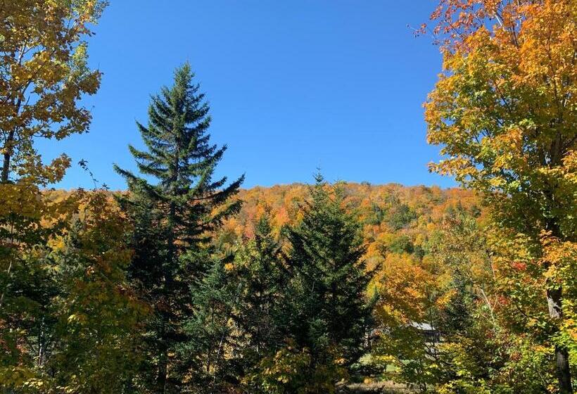 스탠다드 룸 킹사이즈 침대, Lodge Nature Laurentides