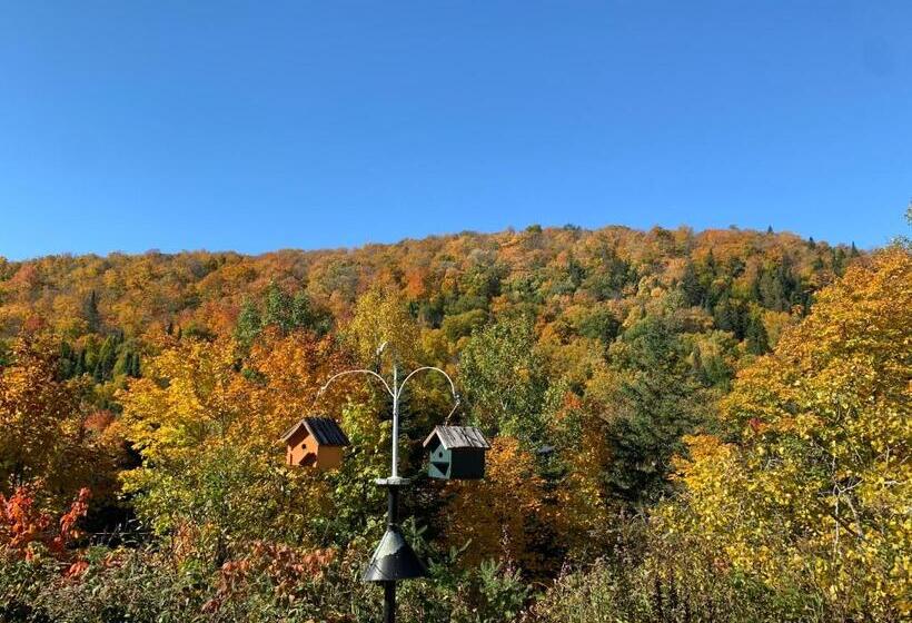 스탠다드 룸 산 전망, Lodge Nature Laurentides