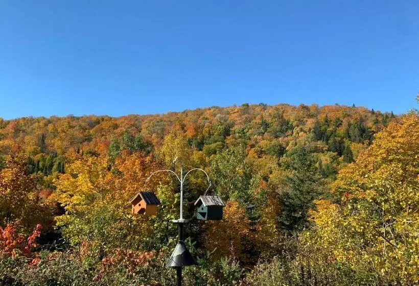 マウンテンビュースタンダードルーム, Lodge Nature Laurentides