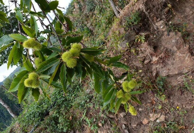 חדר סטנדרט, Agriturismo E Turre