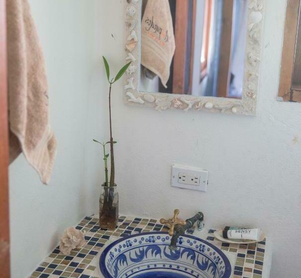 スタンダードルーム, Cabana Salsipuedes