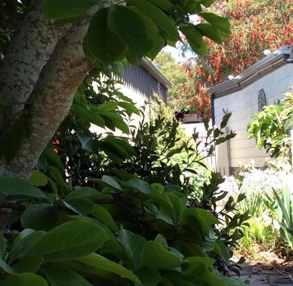 高级套房, A Suite Spot In The Hills