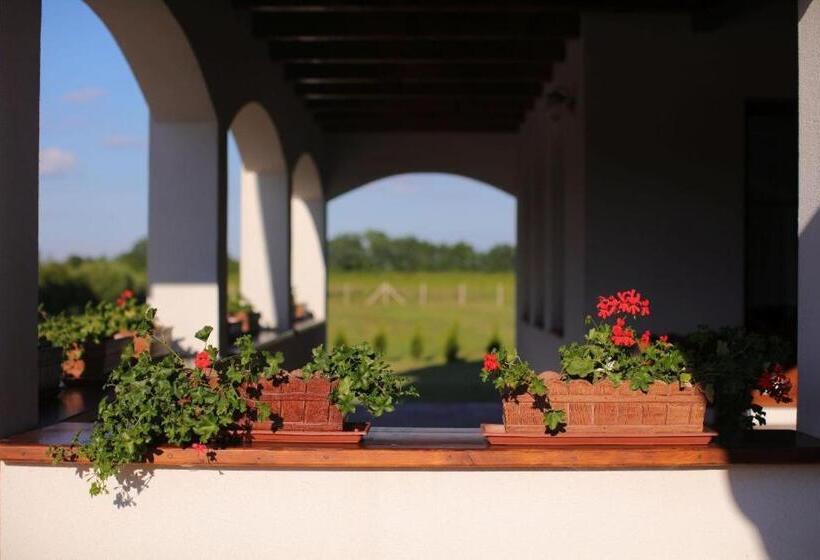 带3个卧室的公寓, Csaronda Vendegház