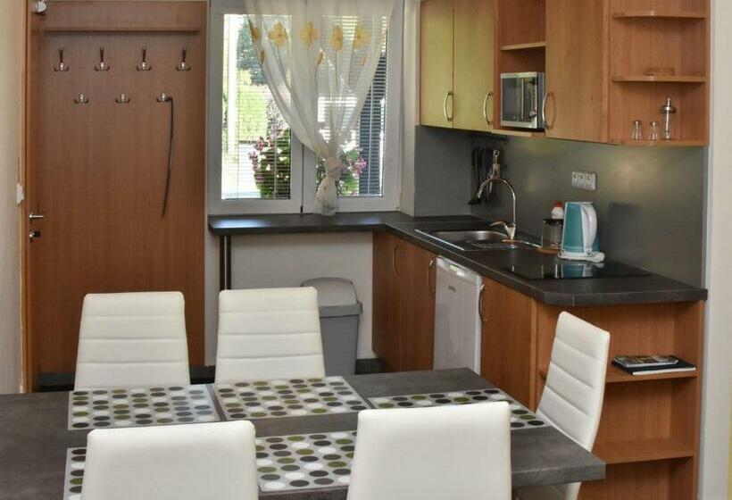 شقة غرفة نوم واحدة بالطابق الأرضى, Penzion Vincent