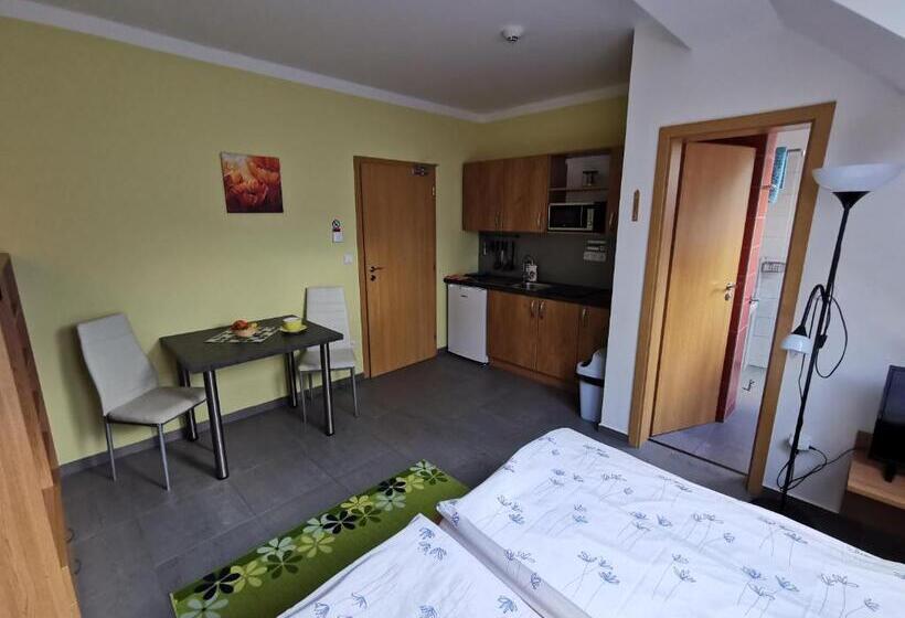 شقة غرفة واحدة, Penzion Vincent