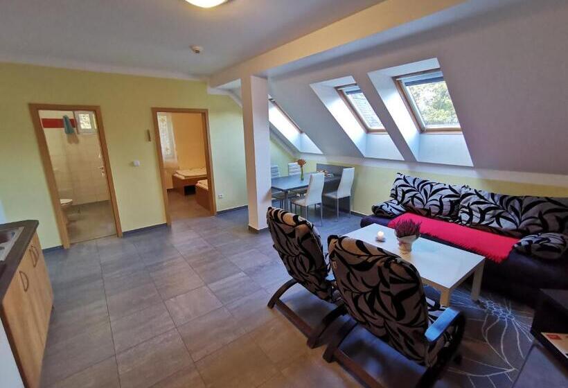 شقة غرفة واحدة, Penzion Vincent