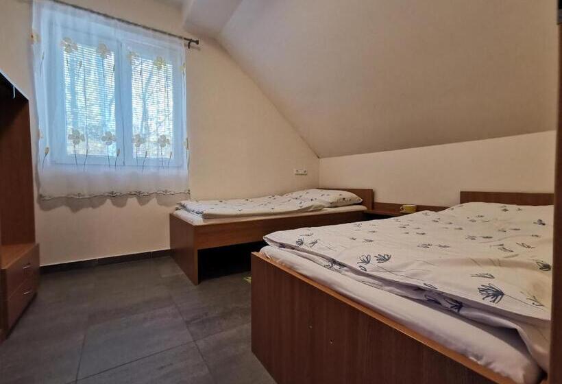 جناح, Penzion Vincent