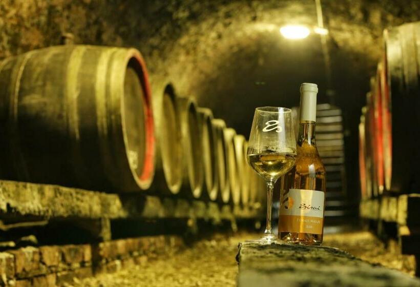 חדר סטנדרט לארבעה, Zsirai Guest House